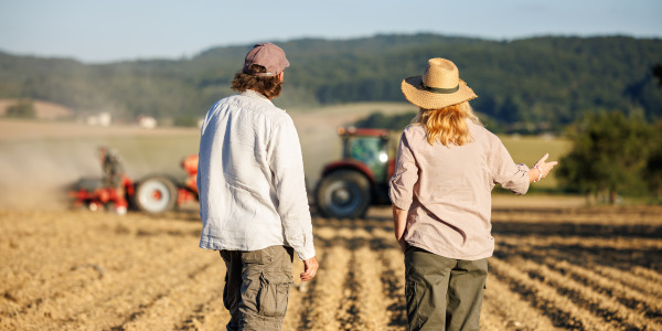 Lorem ipsum dolor sit amet consectetur. 